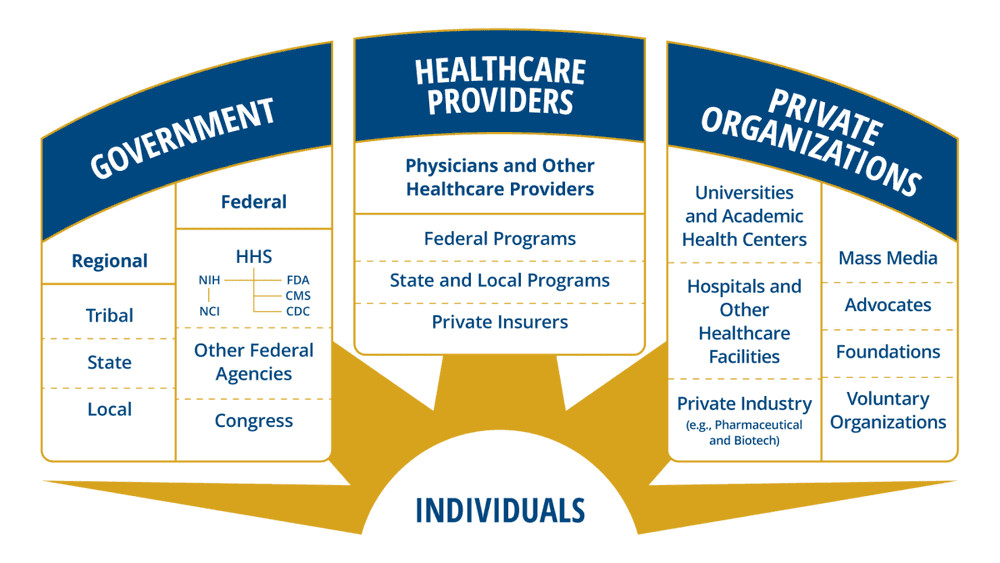 Government, Healthcare Providers, Individuals